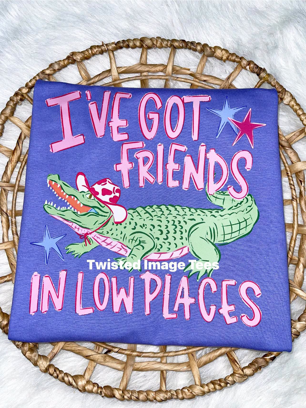 I've Got Friends in Low Places Gator Tee or Crewneck (DTF)