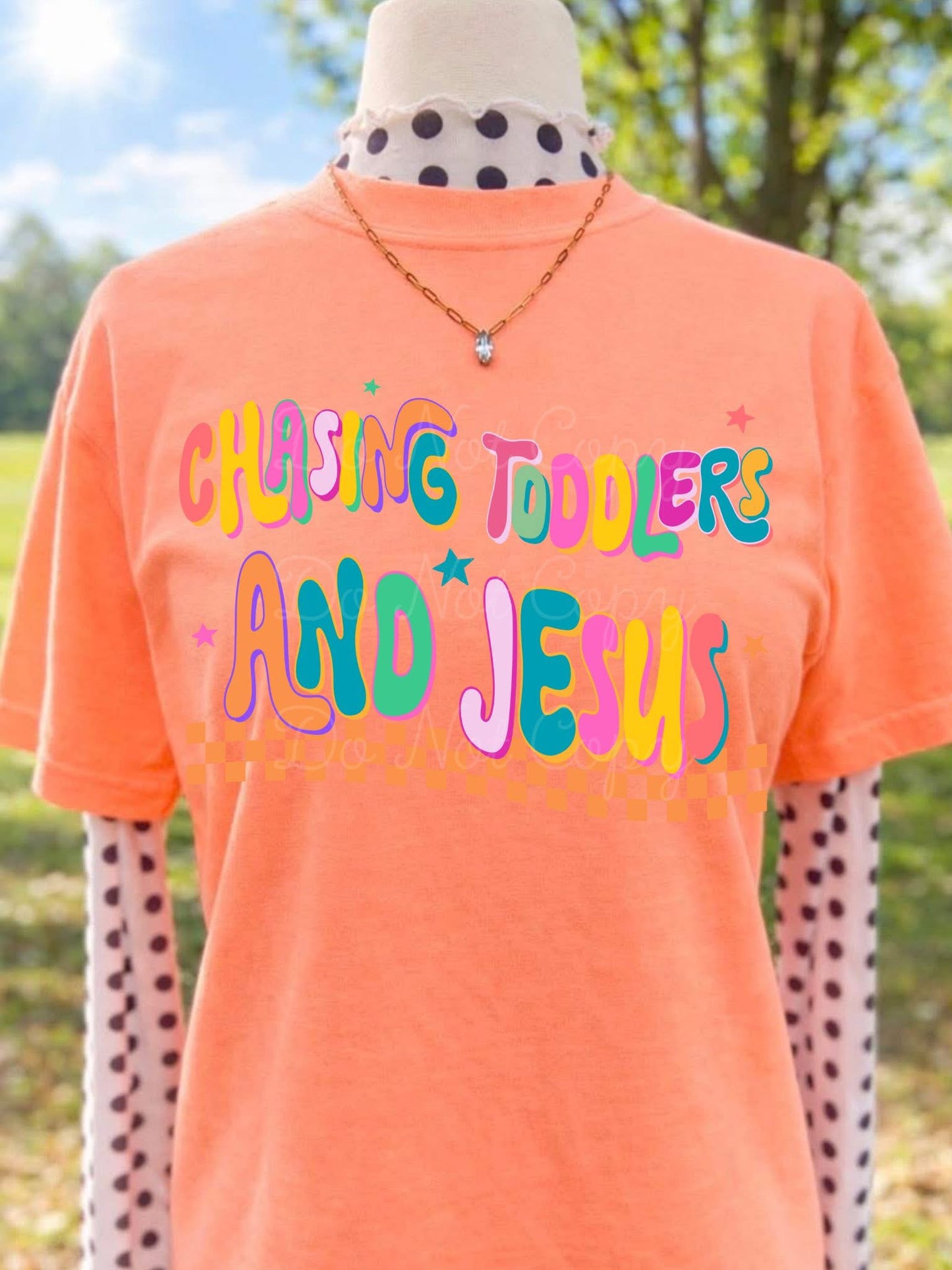 Chasing Toddlers & Jesus Tee or Crewneck (DTF)