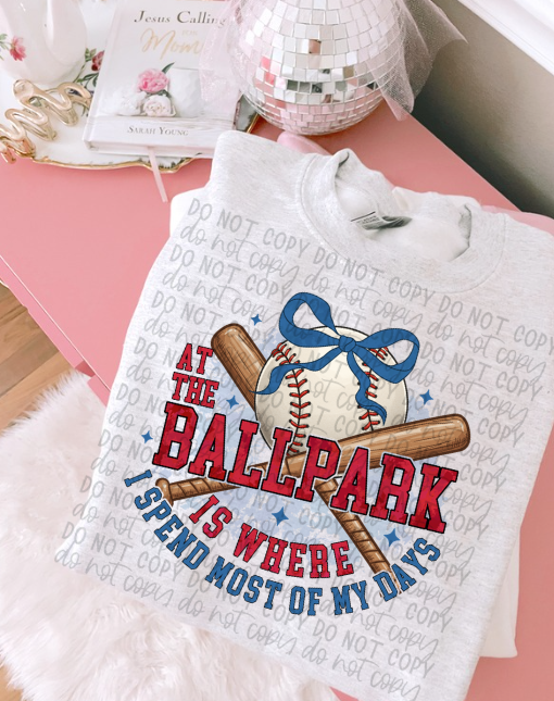 At The Ballpark Is Where I Spend Most of My Days Tee or Crewneck (DTF)