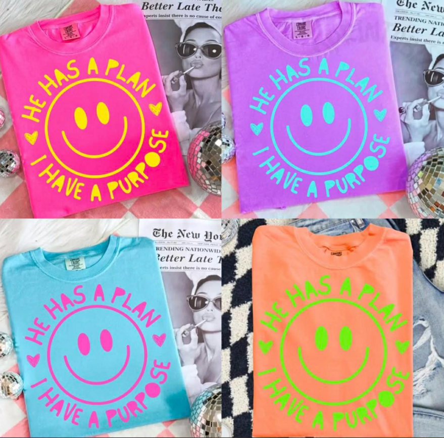 He Has a Plan I Have a Purpose Tee or Crewneck (DTF)